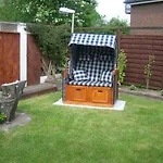 Kleine Nixe Seestern