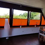 Kleine Nixe Seestern