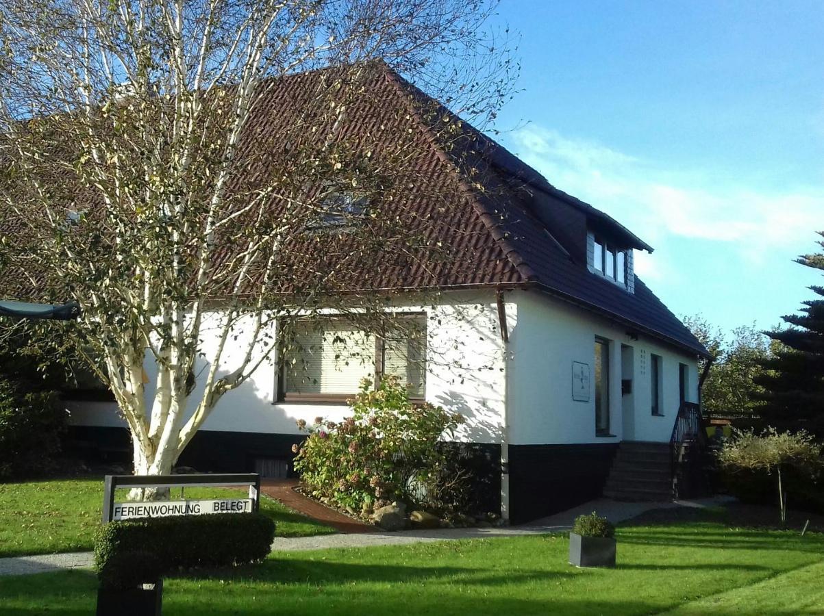 Kleine Nixe Seestern Cuxhaven