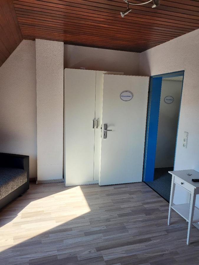 Kleine Nixe Seestern Cuxhaven